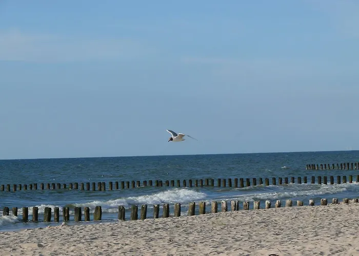 Nad Jeziorem Bed & Breakfast